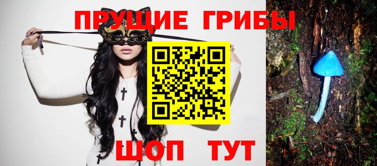 Псилоцибиновые грибы мухоморы Великие Луки